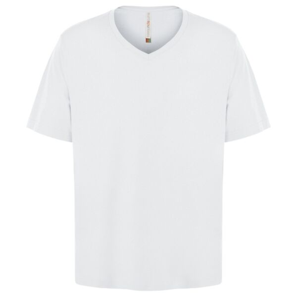 WEBSTORE RING SPUN V-NECK TEE Thumbnail